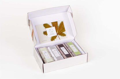 Earthy Shower Steamer Gift Set – 12-Pack Aromatherapy Steamers for Men and Herbal Scent Lovers