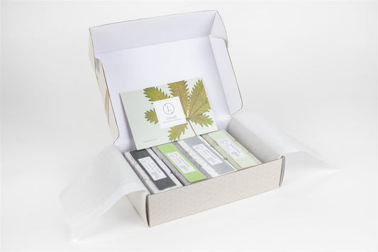 Earthy Shower Steamer Gift Set – 12-Pack Aromatherapy Steamers for Men and Herbal Scent Lovers